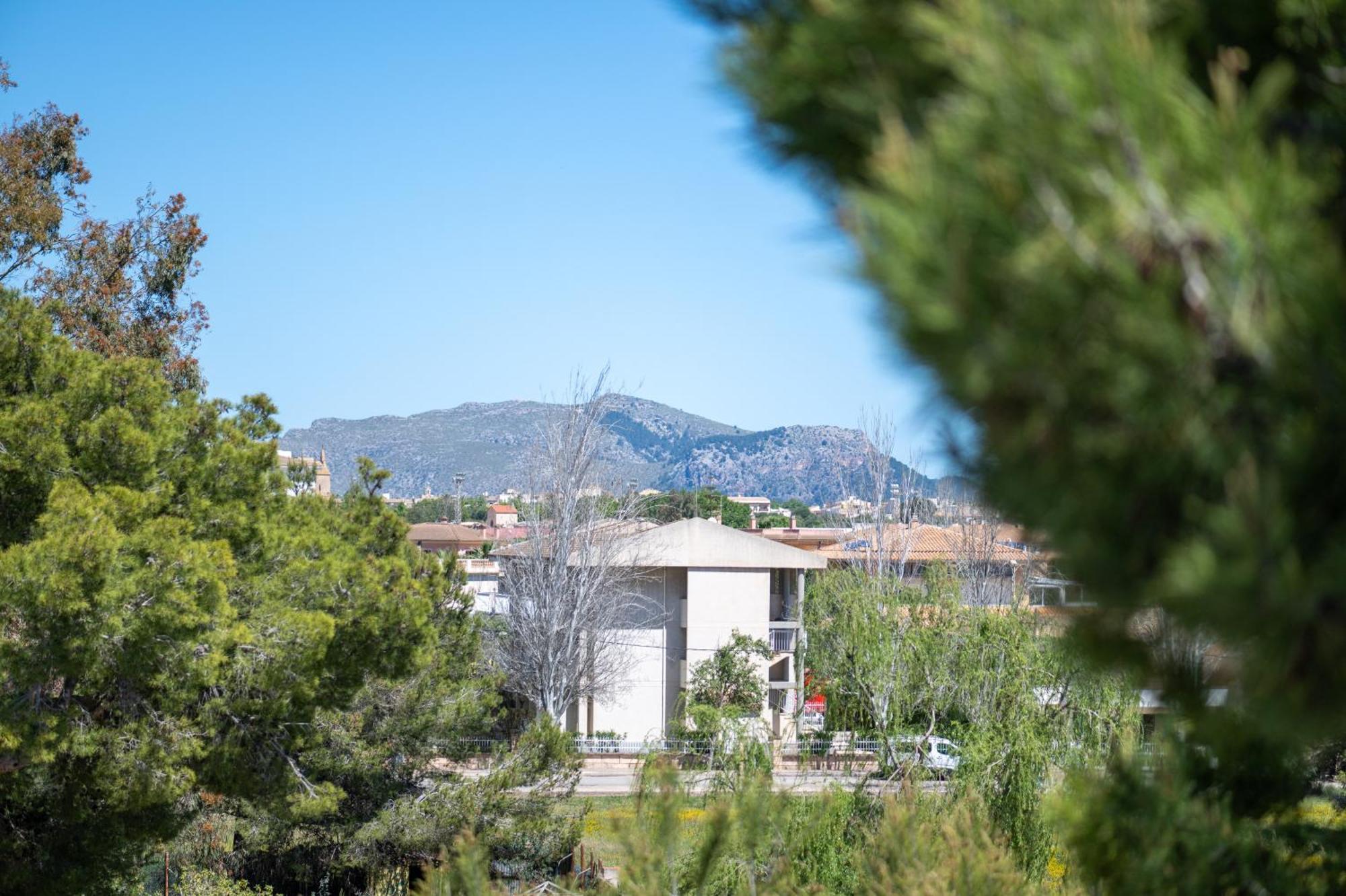Apartamento Minerva Alcúdia Buitenkant foto